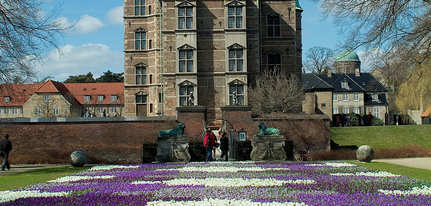 Krokustæppe i Kongens Have. Foto: Styrelsen for Slotte og Kulturejendomme